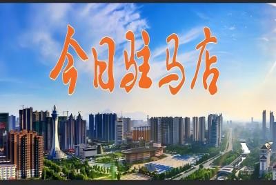 驻马店小麦开镰收割 |《今日驻马店》资讯第127期